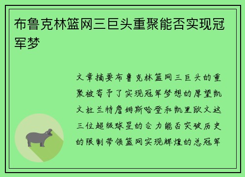 布鲁克林篮网三巨头重聚能否实现冠军梦
